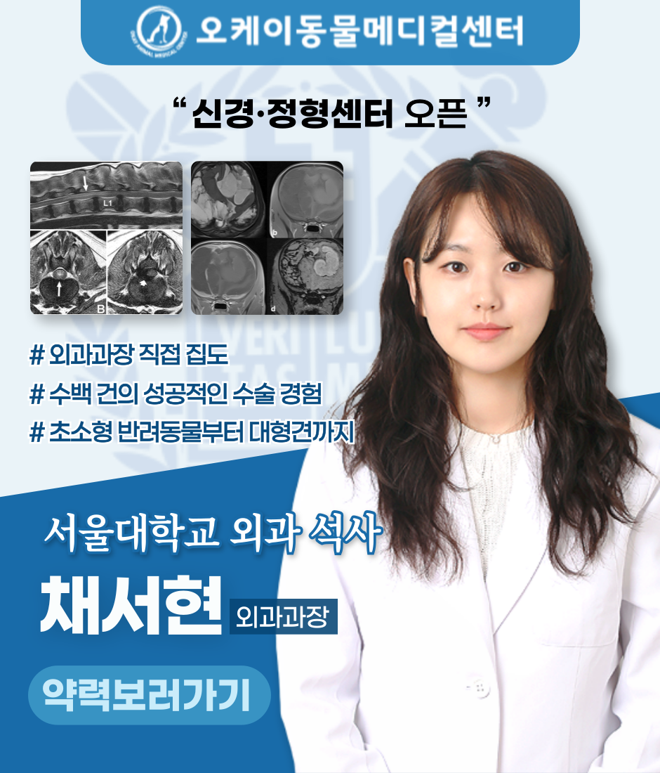 팝업 이미지
